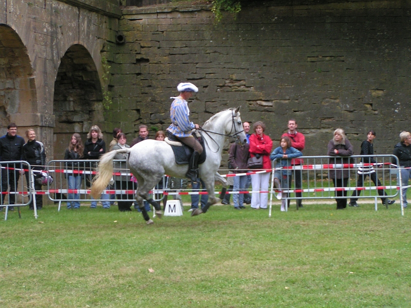 REMPARTS LONGWY 2008 298.jpg